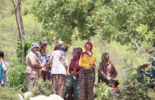 Antalya’da alevler bir mahalleye daha yaklaştı,...