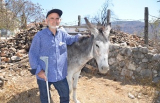 Antalya’daki orman yangınından 82 yaşındaki...
