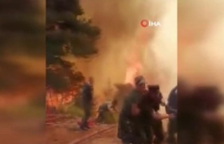 Azerbaycanlı ekipler yangında canla başla mücadele...