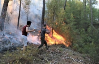 Bucak'ta yangının ilerleyişi devam ediyor