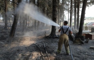Büyükşehir 646 araç bin 767 personel ile yangın...