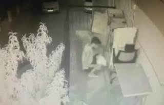 Çamaşır telinde asılı olan tişörtleri tek tek...