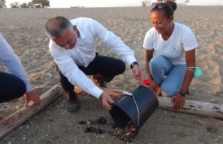 Deniz Kaplumbağaları Vali Yazıcı’nın elleriyle...
