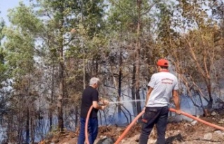 Diyarbakır itfaiyesinden Alanya'ya destek