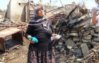 Evi ve parası yanan Cemile Teyze'ye Hollanda’daki...