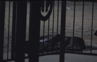 Falezlerden düşen adam hayatını kaybetti