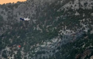 Gündoğmuş'ta dağlık alanda çıkan yangını...