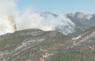 Gündoğmuş'ta ilçe merkezine yaklaşan alevler...