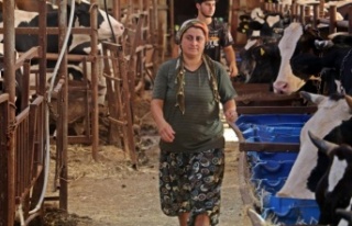 Hırsızlar, 4 bilezikle servet yapan kadının servetine...