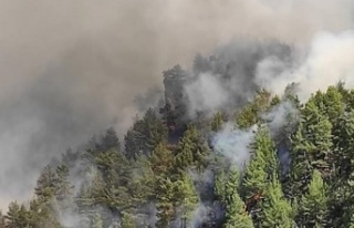 İlçe Milli Eğitim yangın için teyakkuzda