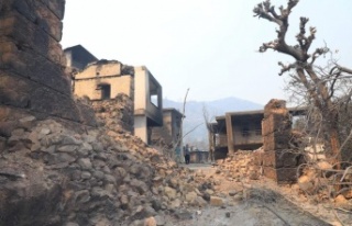 İşte Alanya'daki orman yangınlarının bilançosu