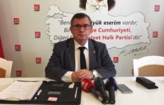 Karadağ: 'Gerekli müdahaleler yapılmadı'