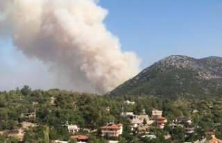 Korkulan oluyor! Yangın Alanya'ya doğru ilerliyor