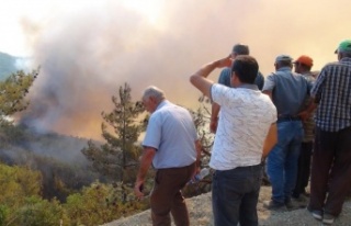 Mahalleye sıçrayan orman yangını muhtarı gözyaşlarına...