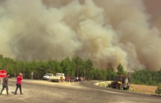 Mahalleye yaklaşan alevlere vatandaşlar yangın...