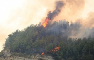 Manavgat 5 gündür yanıyor