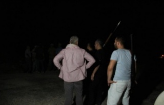 Manavgat'ta otellere yakın noktada yangın çıktı,...