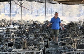 Manavgat'ta safari tesisi küle döndü, alevlerin...