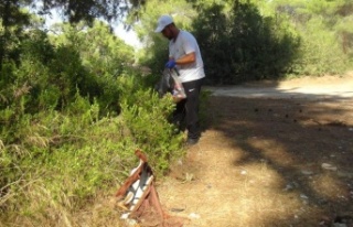 Manavgat'ta yangın sonrası gönüllülerden,...