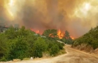 Manavgat'ta yükselen alevler köyü boşalttı
