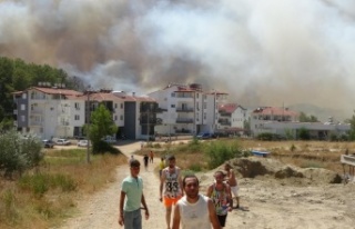 Manavgat'taki yangını söndürmek için seferber...
