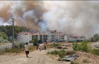 Manavgat yangını kontrol altına alındı