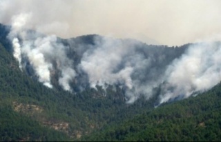 Manavgat yangınını 12 yaşındaki çocuk çıkarmış!
