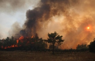 Manavgat’ta alevler yeniden metrelerce yükseldi,...