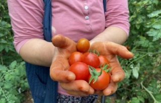 Meyvede 1 yılda miktar düştü fiyat yüzde 108...