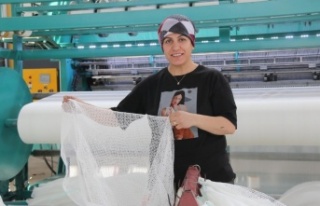 Milyonlarca balon balığını tek seferde yakalayacak...