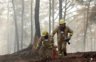 Orman Genel Müdürü Karacabey yangınlara ilişkin...