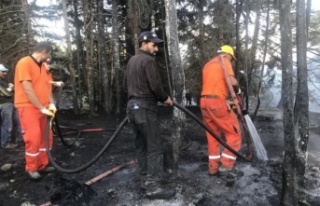 Orman yangını kontrol altına alındı