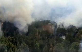 Orman yangını yeniden başladı