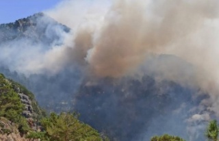 Orman yangınıyla ilgili bir şüpheli tutuklandı