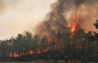 Orman yangınlarıyla boğuşan vatandaşa sevindirici...