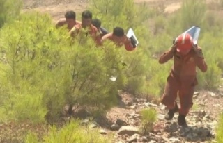 Özgür: Ben anlamam ağabey güvenli bölgeden. Bunda...