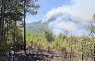 Rüzgarın da etkisi ile Güğlen Dağında yangın...