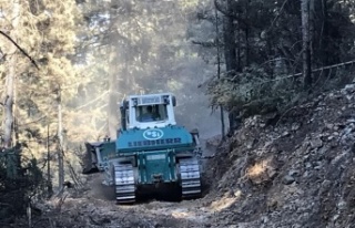 Yanan kökleri tek tek bulup söndürüyorlar