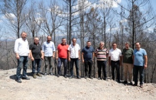 Yücel, Alanya ve Gündoğmuş'un yangın bölgelerinde