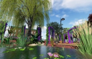 Yücel'den Alanya'ya terapi bahçesi