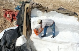 2 bin 500 rakımlı dağdan karın şehre zorlu yolculuğu