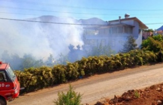 Alanya'da korkutan yangın