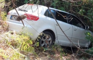 Alanya'da otomobil ormanlık alana uçtu