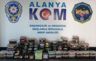 Alanya'da polisten kaçak operasyonu