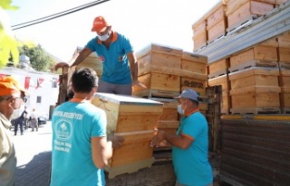 Alanya'da yangında kovanları zarar gören 23...