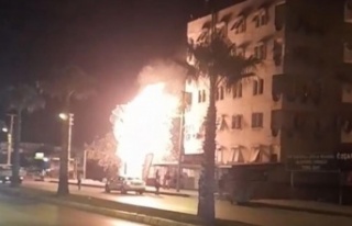 Alev alev yanan palmiye ağacı mahalleliyi korkuttu