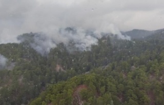 Antalya’da düşen yıldırım, 4 hektarlık ormanı...
