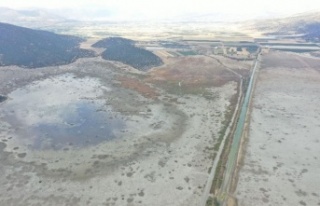 Avlan Gölü'nde korkutan görüntü