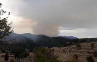 Aynı bölgede ikinci yangın çıktı