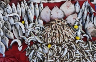 Balıkçılar umudunu hamsiye bağladı